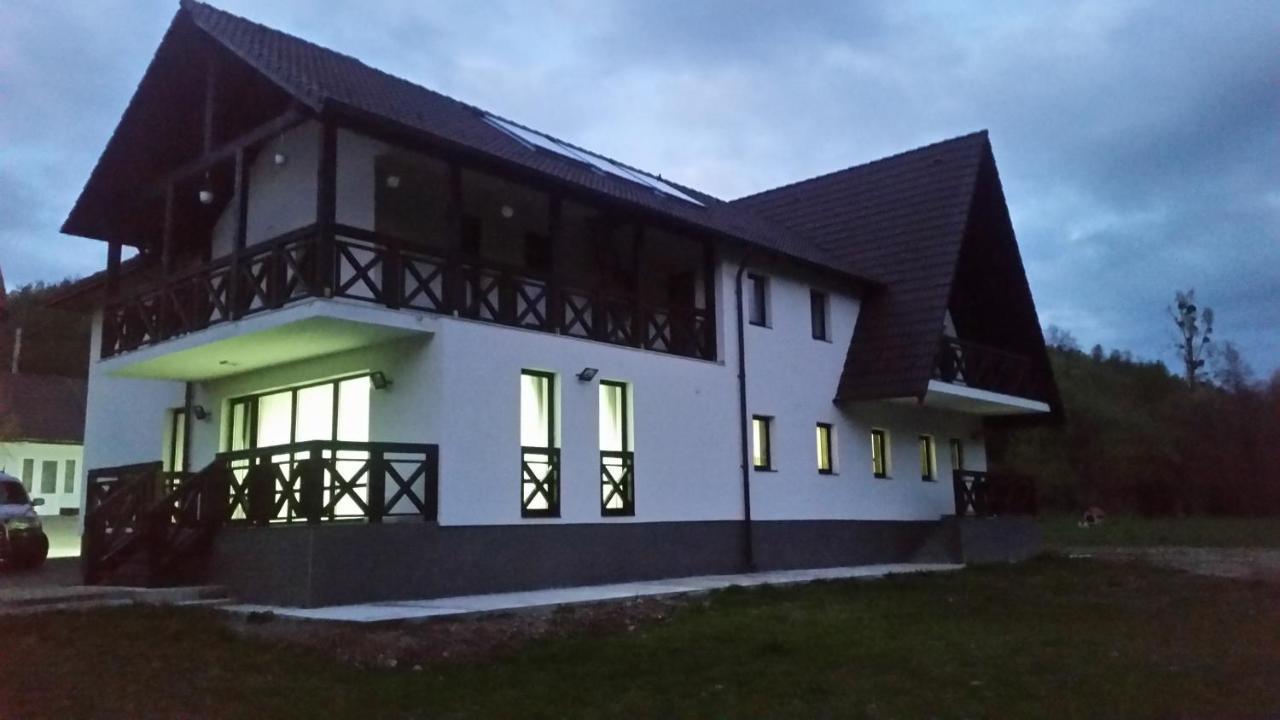 Pensiunea Steaua Nordului Vanatori  Esterno foto