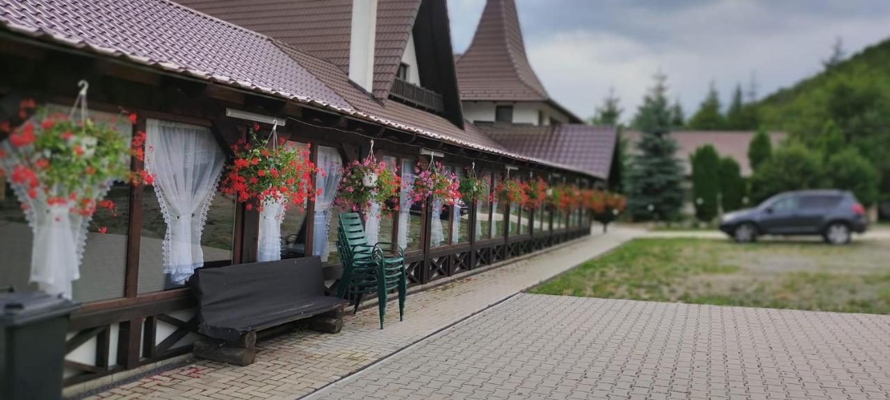 Pensiunea Steaua Nordului Vanatori  Esterno foto