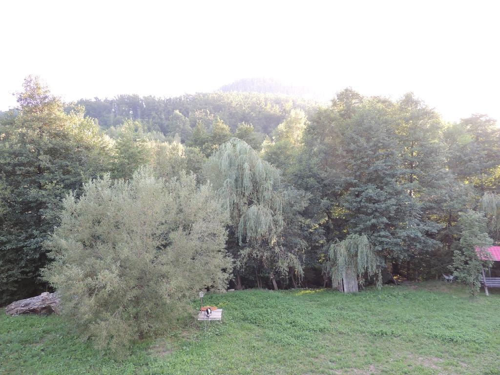 Pensiunea Steaua Nordului Vanatori  Esterno foto