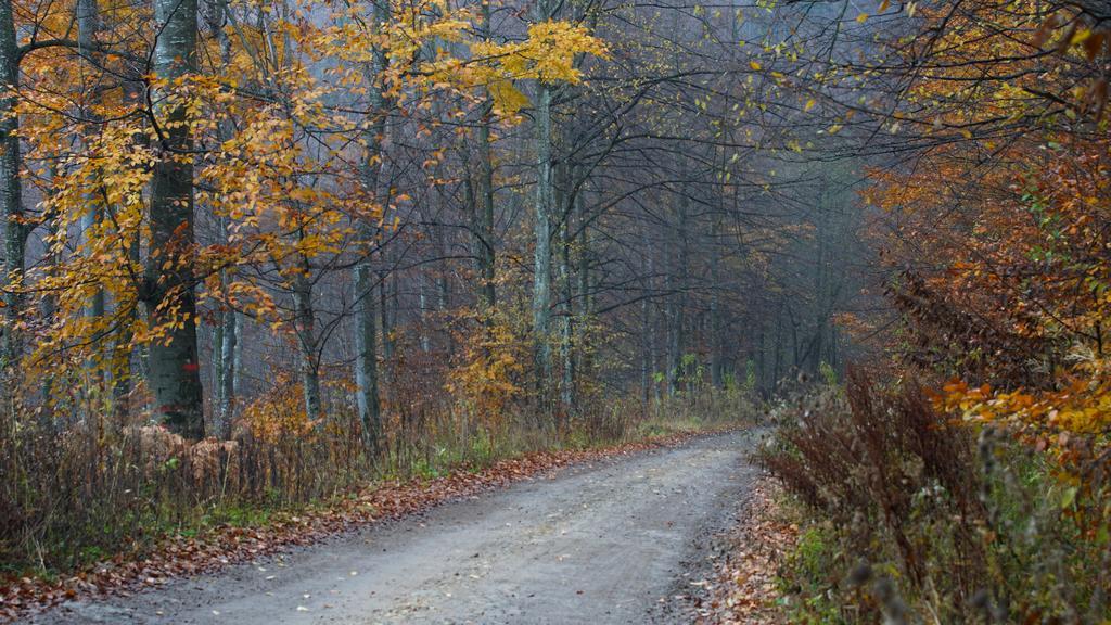 Pensiunea Steaua Nordului Vanatori  Esterno foto