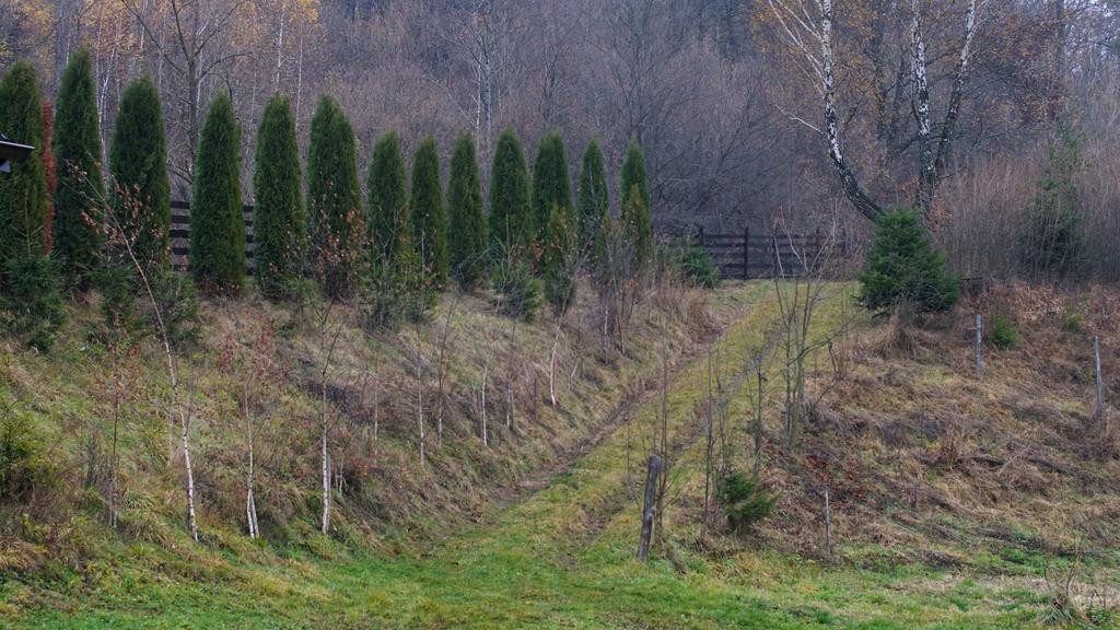 Pensiunea Steaua Nordului Vanatori  Esterno foto