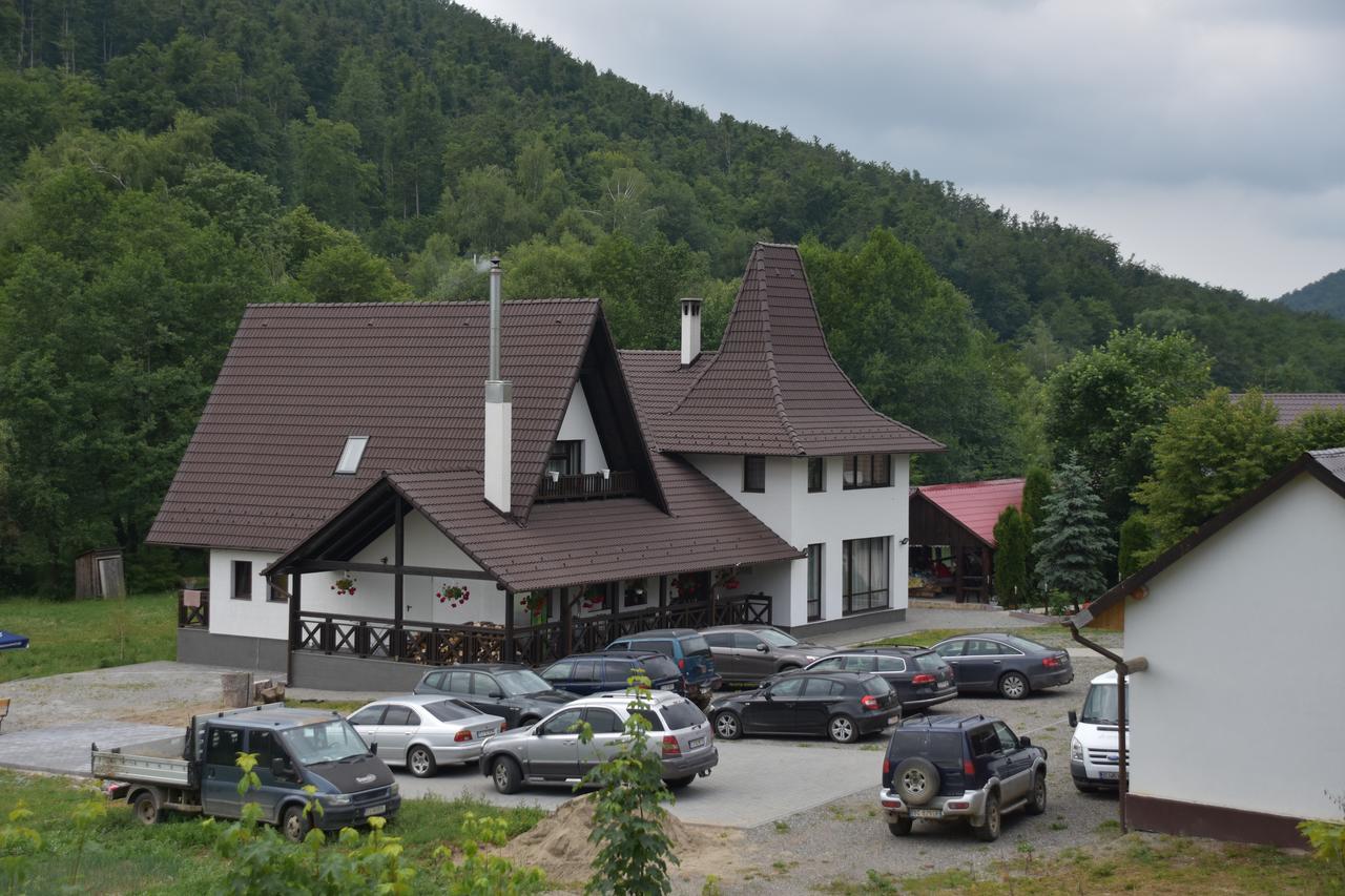 Pensiunea Steaua Nordului Vanatori  Esterno foto